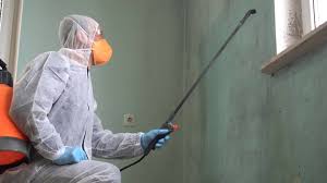 Why You Should Choose Our Mold Remediation Services in Newington Forest, VA